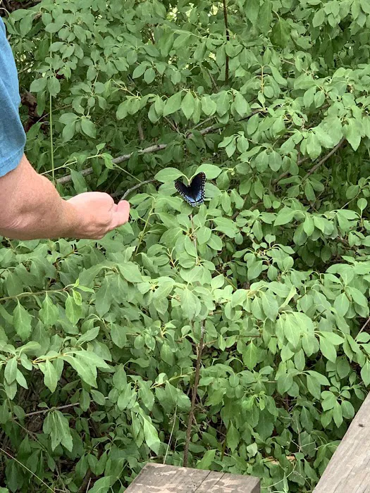 Arrowhead Campground Picture 7