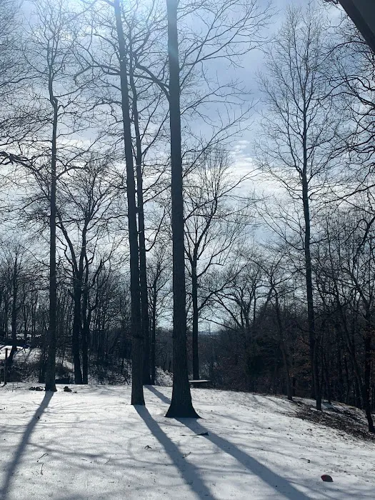 Camp Safe Haven/ Earthbound lodging Picture 4