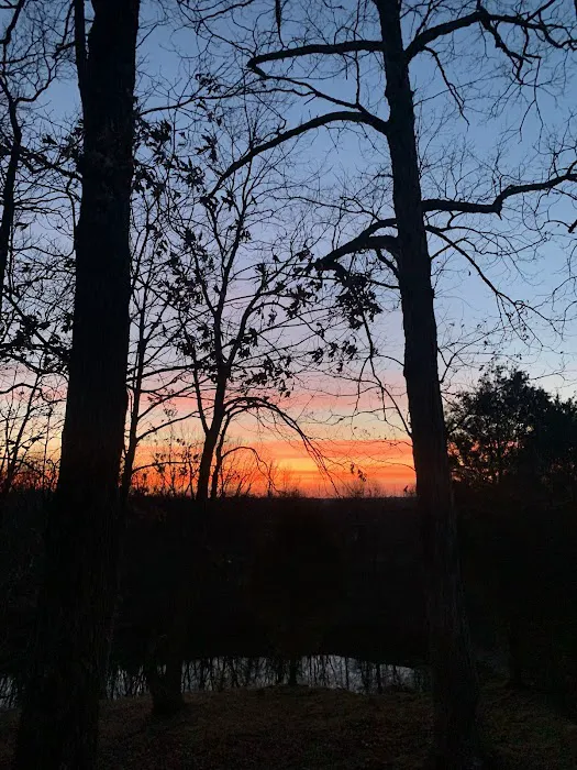 Camp Safe Haven/ Earthbound lodging Picture 5