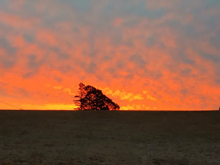 Static Crossroads Picture 6