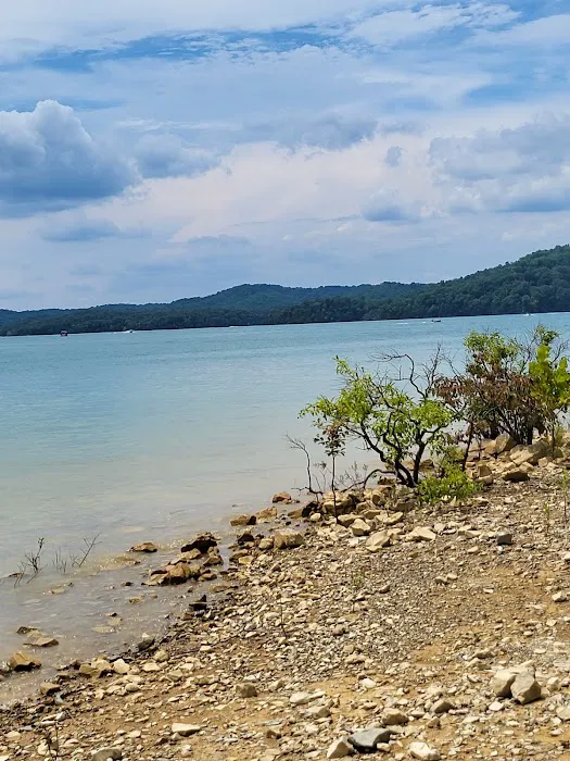 Lillydale Campground Picture 3