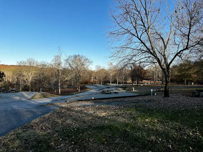 Willow Grove Campground Picture 2
