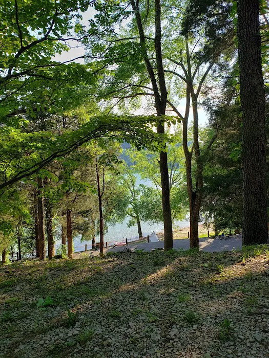 Cove Creek Campground Picture 6