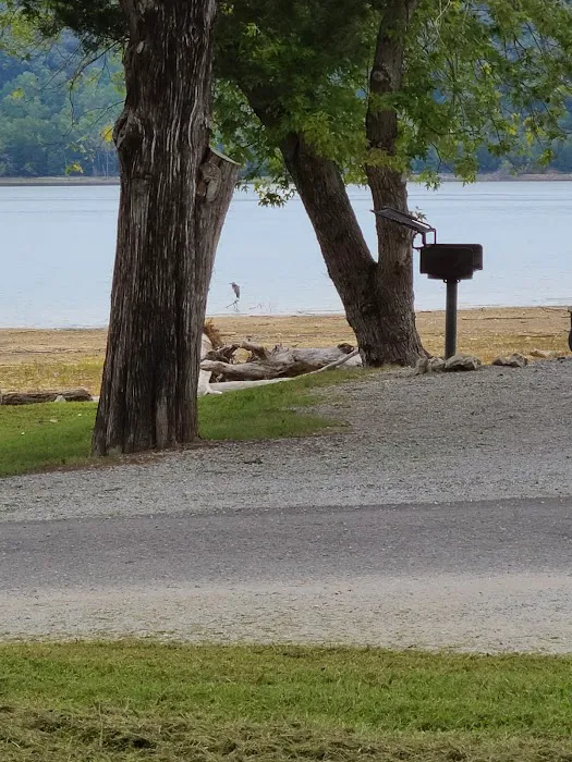 Obey River Campground Picture 6
