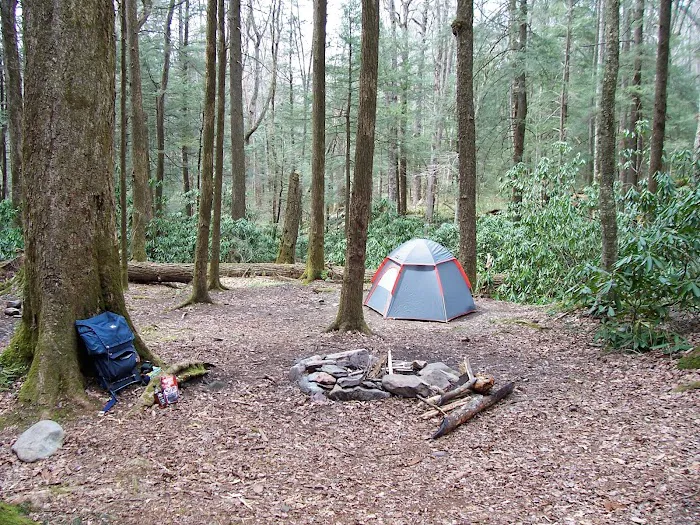 Backcountry Campsite #31 Picture 2