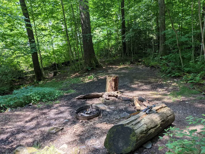 Backcountry Campsite #31 Picture 9
