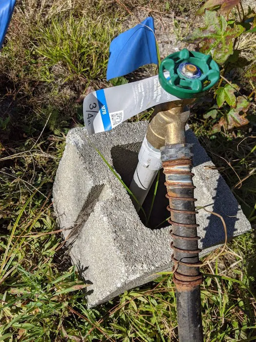 Nowhere Campground and RV Park Picture 4