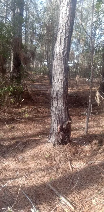 Nowhere Campground and RV Park Picture 7