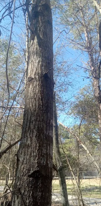 Nowhere Campground and RV Park Picture 8