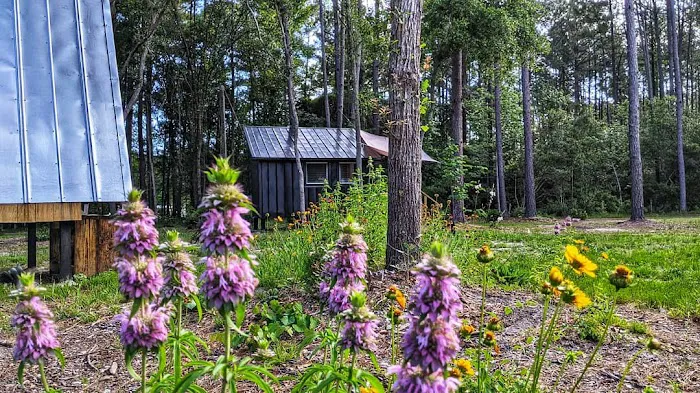 Heirloom Hamlet Picture 4