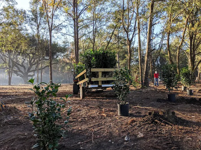 Heirloom Hamlet Picture 8