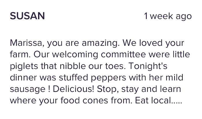 Camp On The Farm Picture 5