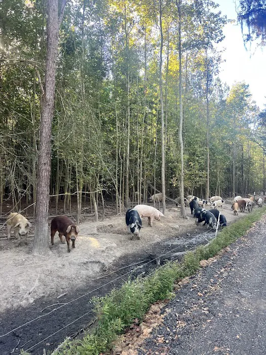 Camp On The Farm Picture 9