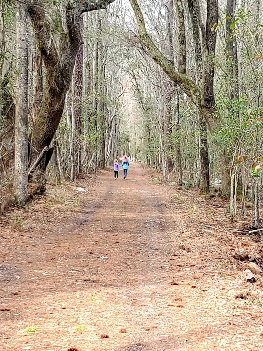Camp On The Farm Picture 8