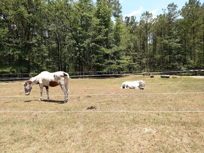 Black Creek Scout Reservation Picture 2