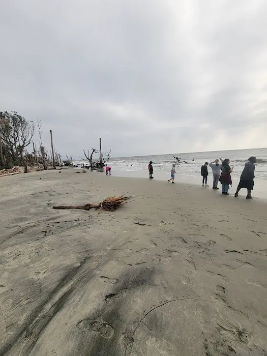 Capers Island Heritage Preserve Picture 1
