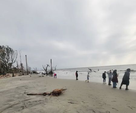 Capers Island Heritage Preserve