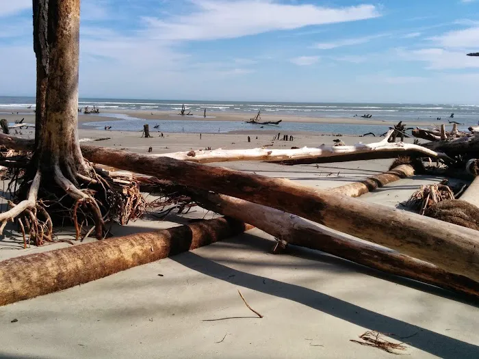 Capers Island Heritage Preserve Picture 2