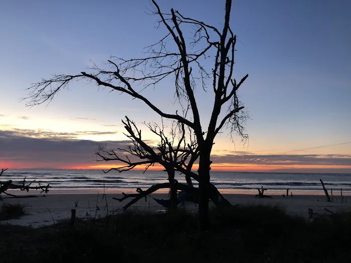 Capers Island Heritage Preserve Picture 3