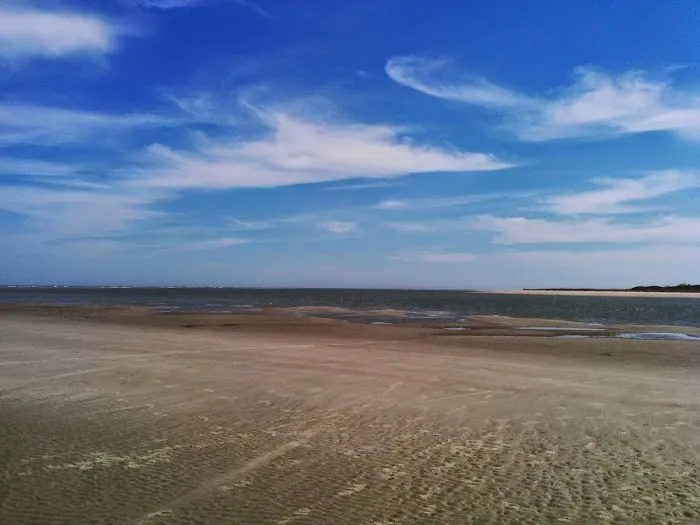 Capers Island Heritage Preserve Picture 5