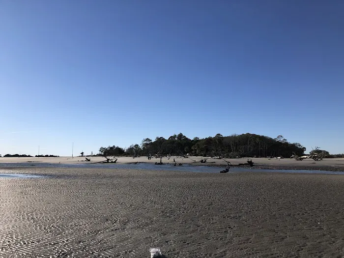 Capers Island Heritage Preserve Picture 7