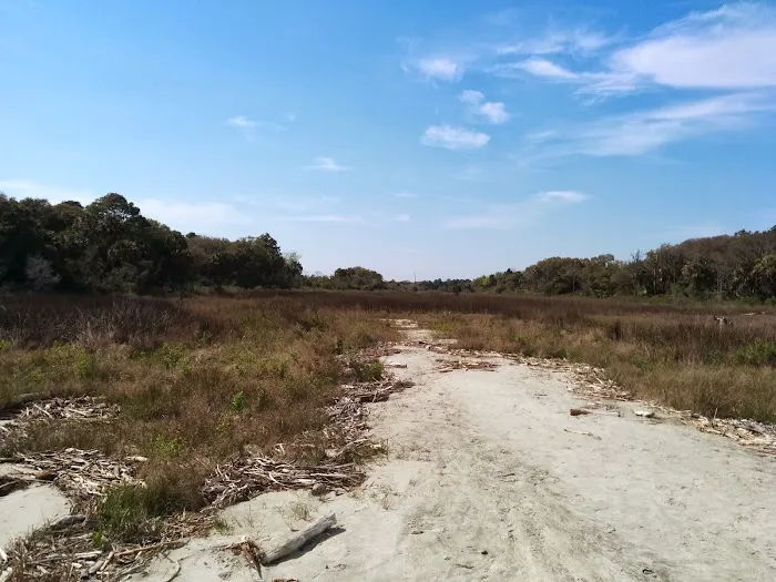 Capers Island Heritage Preserve Picture 9