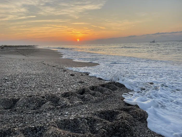 Edisto Beach State Park Campground Picture 2