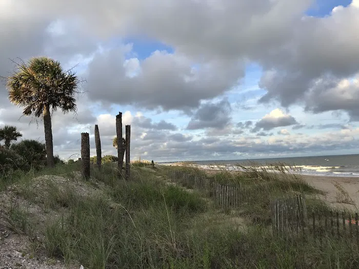 Edisto Beach State Park Campground Picture 6