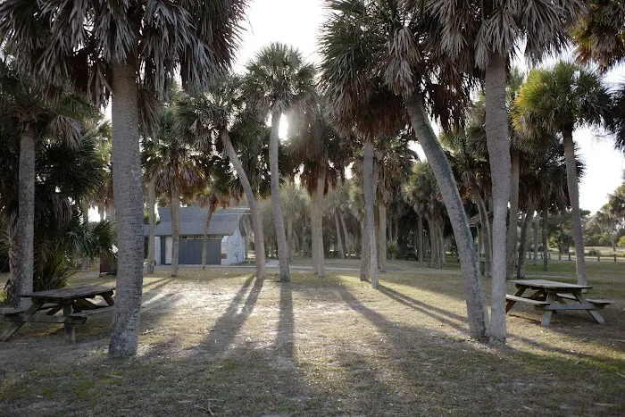 Edisto Beach State Park Campground Picture 4