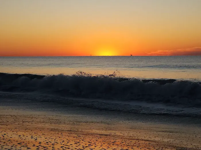 Edisto Beach State Park Campground Picture 5