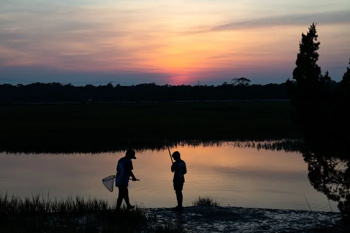 Edisto Beach State Park Campground Picture 8