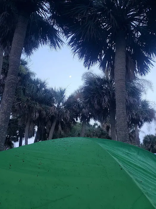 Edisto Beach State Park Campground Picture 9