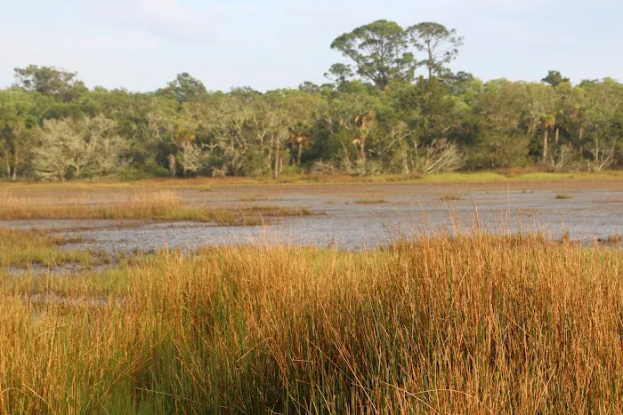 Honey Hill Recreation Area Picture 5