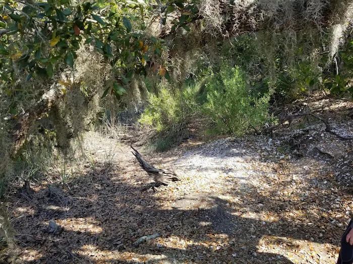 Honey Hill Recreation Area Picture 4