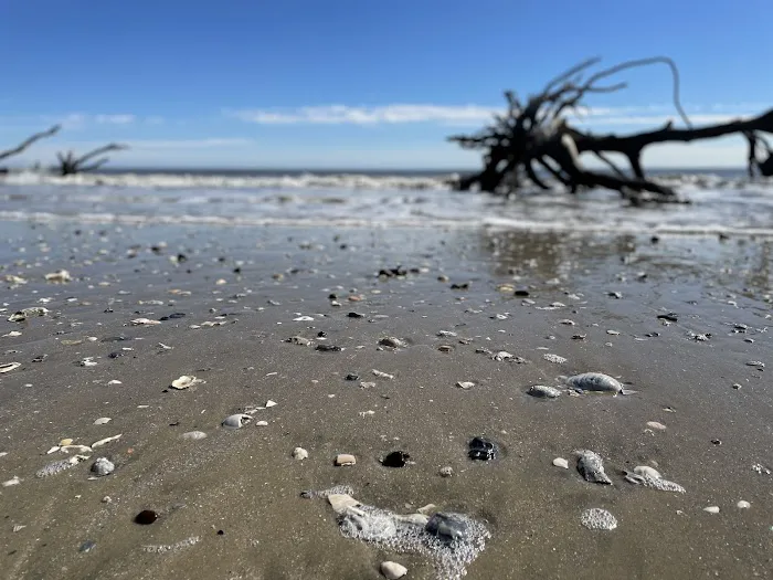 Honey Hill Recreation Area Picture 8