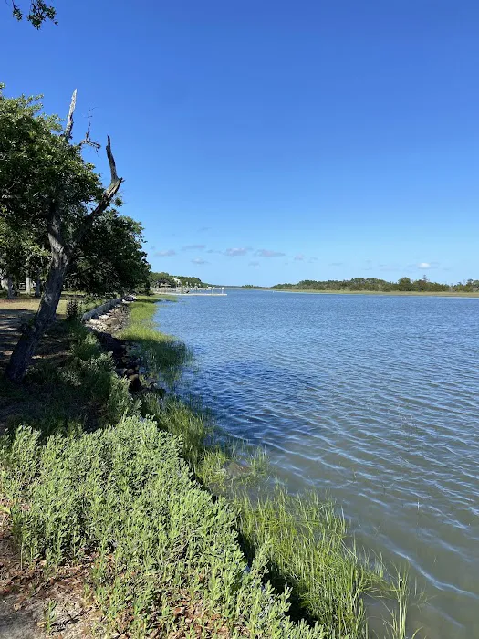 Buck Hall Recreation Area and Boat Landing Picture 4