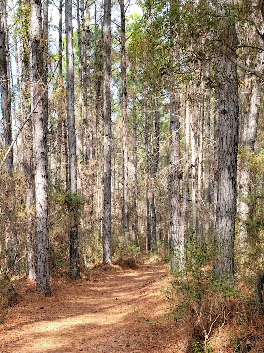 Buck Hall Recreation Area and Boat Landing Picture 11