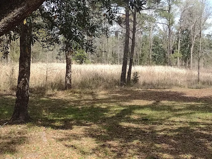 Elmwood Recreation Area Picture 3