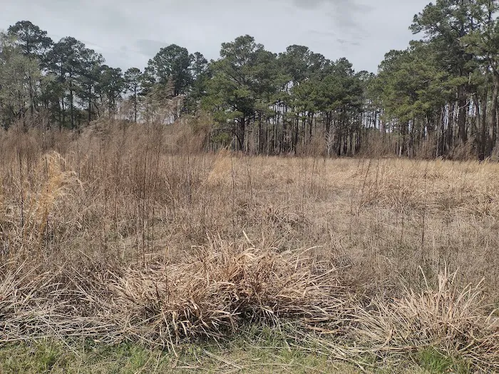 Elmwood Recreation Area Picture 4