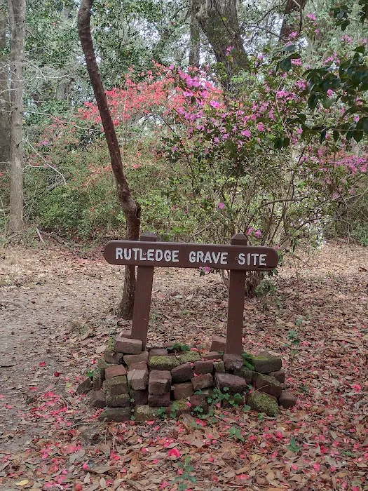 Elmwood Recreation Area Picture 5