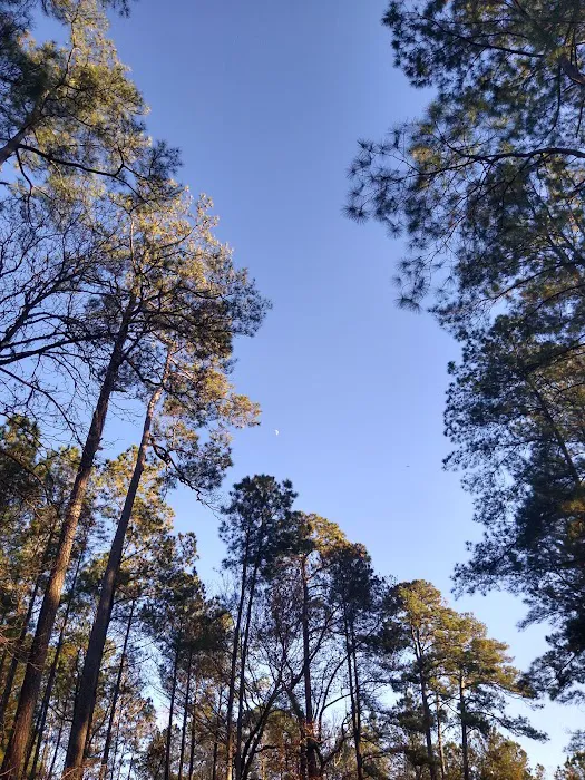 Elmwood Recreation Area Picture 9