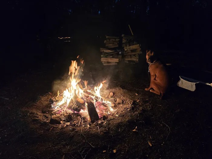 Elmwood Recreation Area Picture 8