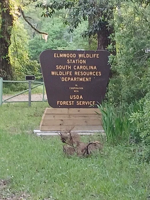 Elmwood Hunt Camp Picture 2