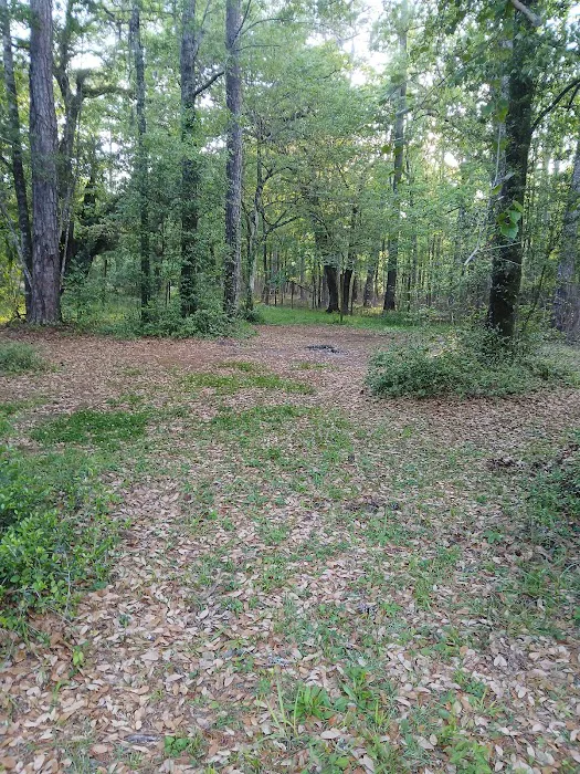 Elmwood Hunt Camp Picture 1