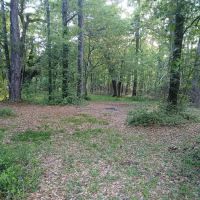 Elmwood Hunt Camp ico