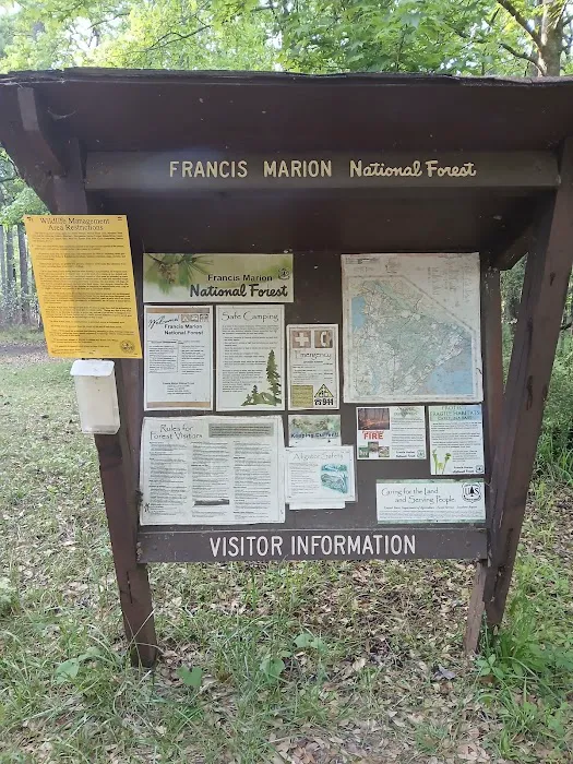 Elmwood Hunt Camp Picture 3