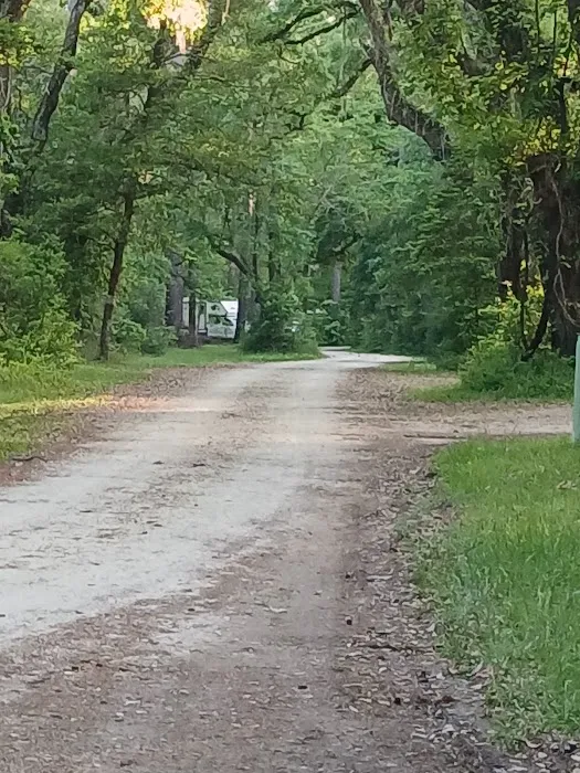 Elmwood Hunt Camp Picture 8