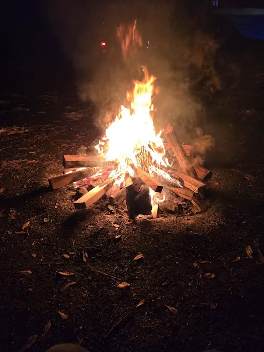 Elmwood Hunt Camp Picture 9