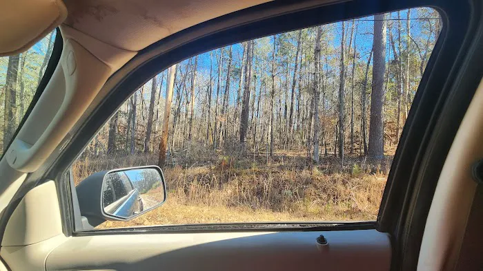 Erics Adventures Picture 5