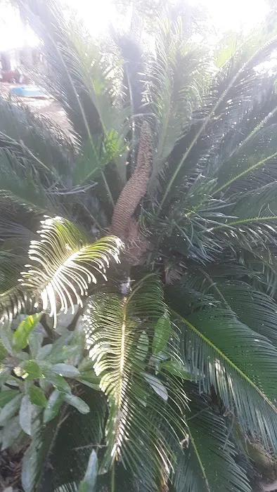 Little River Park Campground Picture 9